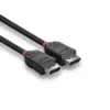 Lindy 1m DisplayPort 1.2 kabelis, Black Line