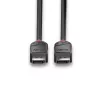 Lindy 1m DisplayPort 1.2 kabelis, Black Line