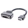Lindys DVI-D (moteriška) į HDMI (vyriška) adapterio kabelis, 0,2 m