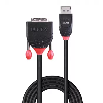 Lindy 2 m DisplayPort į DVI-D laidas