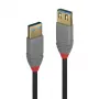 Lindy 1 m USB 3.2 Type A ilginamasis laidas, 5 Gbps, Anthra Line