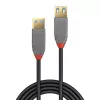 Lindy 1 m USB 3.2 Type A ilginamasis laidas, 5 Gbps, Anthra Line