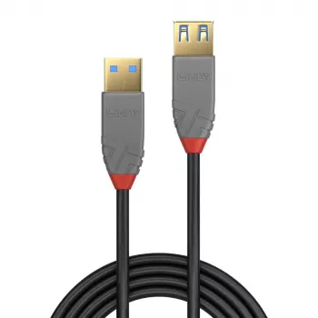 Lindy 1 m USB 3.2 Type A ilginamasis laidas, 5 Gbps, Anthra Line