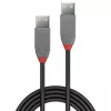 Lindy 0,2 m USB 2.0 A-A laidas, Anthra Line