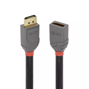 Lindy 3 m DisplayPort 1.4 ilginimo laidas, Anthra Line