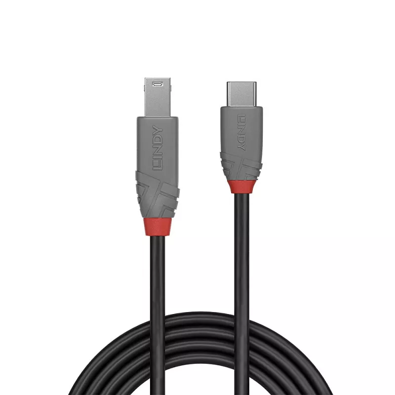 Lindy 2 m USB 3.2 Type C į B laidas, Anthra Line