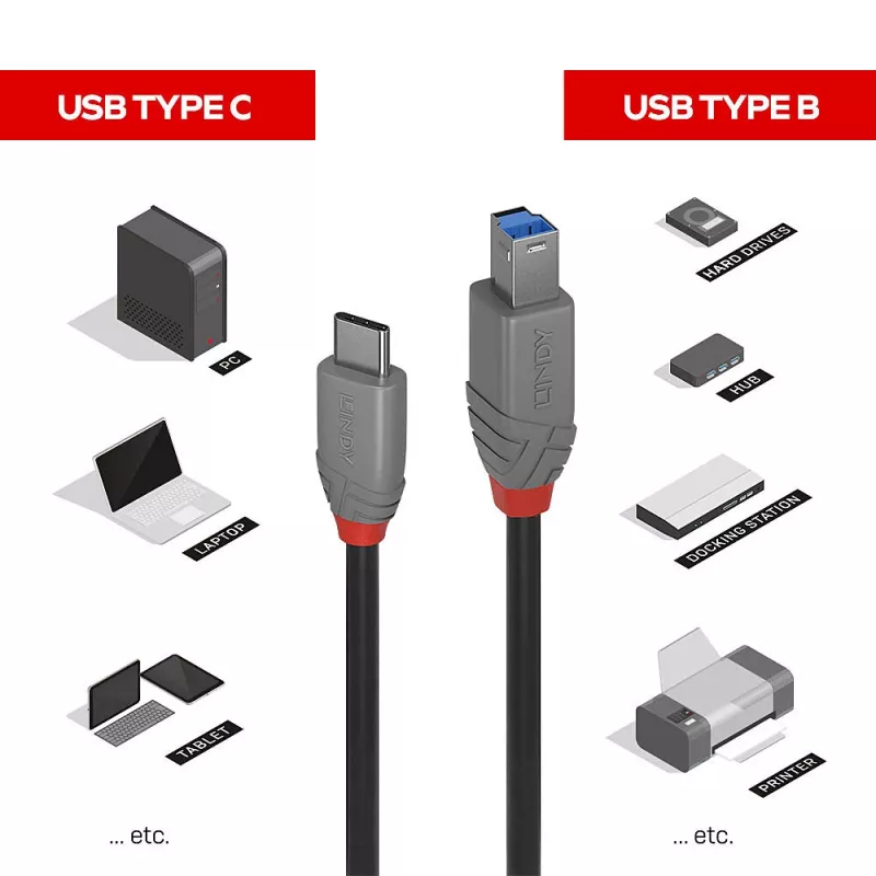 Lindy 2 m USB 3.2 Type C į B laidas, Anthra Line