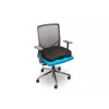 Sėdynės pagalvėlė Kensington Ergo Memory Foam K55805WW