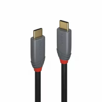 Lindy 2 m USB 3.2 Type C kabelis, 5A PD, Anthra Line
