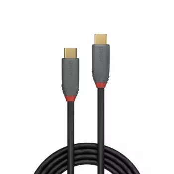 Lindy 2 m USB 3.2 Type C kabelis, 5A PD, Anthra Line