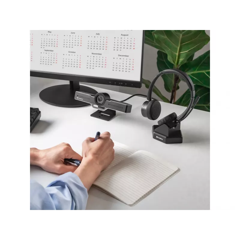 Ausinės Sandberg Wireless Office Headset Pro+