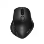 ASUS MW203 pelė Office dešinei rankai RF belaidė + Bluetooth optinė 2400 DPI