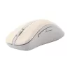 ASUS Wireless MD102 pelė, universali, dešinei rankai, RF Wireless + Bluetooth, optinė, 1600 DPI