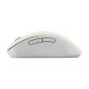 ASUS Wireless MD102 pelė, universali, dešinei rankai, RF Wireless + Bluetooth, optinė, 1600 DPI