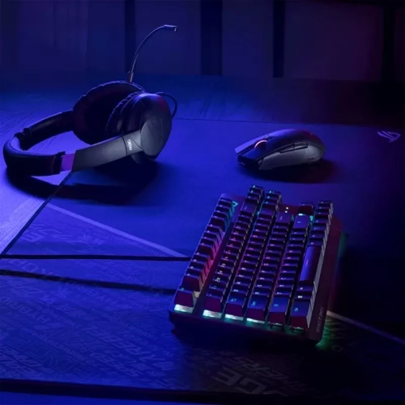 Ausinės ASUS ROG Strix Go, laidinės, USB-C, juodos