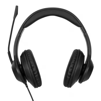 Targus AEH102GL ausinės / headset, laidinės, antgalvinės, skambučiams ir muzikai, USB-A, juodos