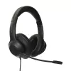 Targus AEH102GL ausinės / headset, laidinės, antgalvinės, skambučiams ir muzikai, USB-A, juodos