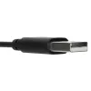 Targus AEH102GL ausinės / headset, laidinės, antgalvinės, skambučiams ir muzikai, USB-A, juodos