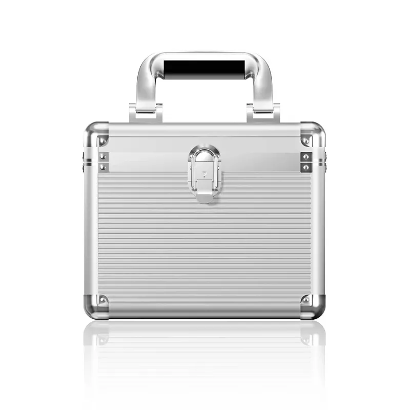 ICY BOX IB-AC628 Dėklas Lagaminas Metalas, Plastikas Sidabrinis