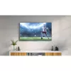 Techly universali TV laikiklis sieninis 32-55 colių juodas