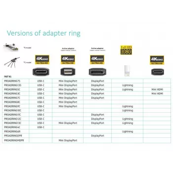 Vivolink PROADRINGDPR vaizdo adapteris 0,1 m DisplayPort į HDMI juodas