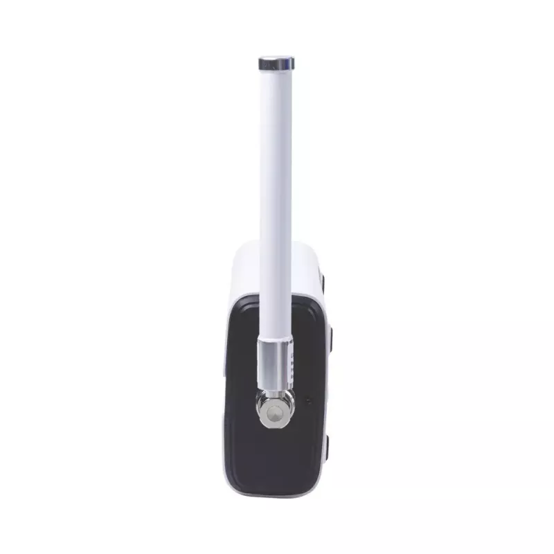 Milesight UG65915EA maršrutizatorius 2,4 GHz IEEE 802.11b/g/n