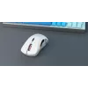 Glorious Gaming Glorious Model D Wireless – Matinė balta, dešinei rankai, belaidis RF, 19000 DPI, balta