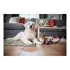 Philips PowerPro Expert belaidis dulkių siurblys FC9729/09