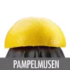 Elektrinė citrusų spauda Gastroback Home Culture 100 W juoda nerūdijantis plienas