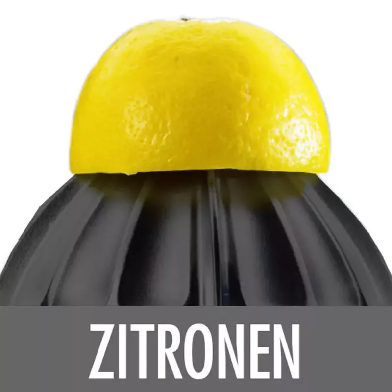 Elektrinė citrusų spauda Gastroback Home Culture 100 W juoda nerūdijantis plienas