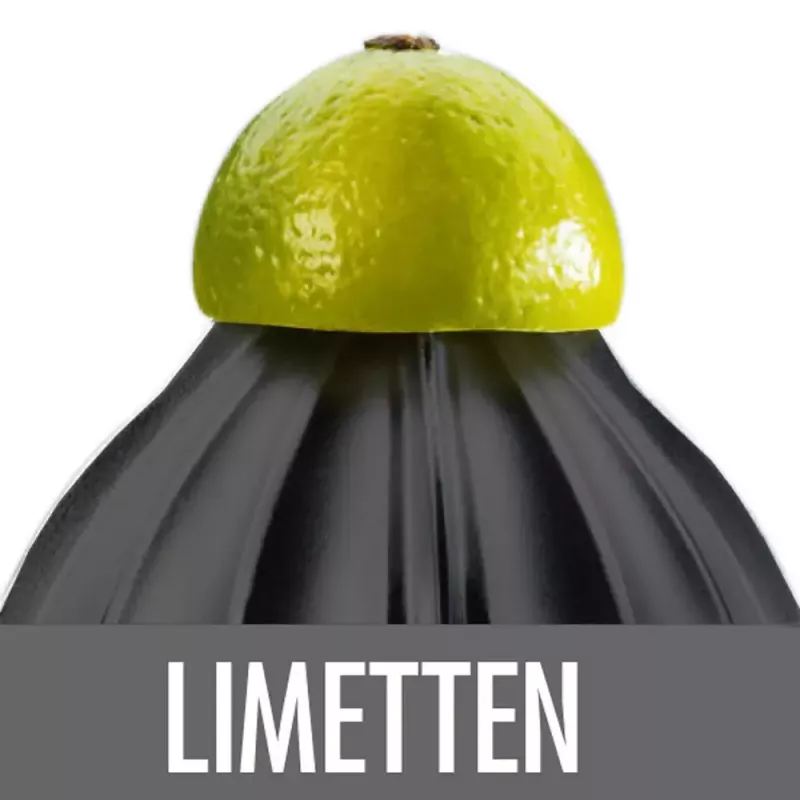 Elektrinė citrusų spauda Gastroback Home Culture 100 W juoda nerūdijantis plienas