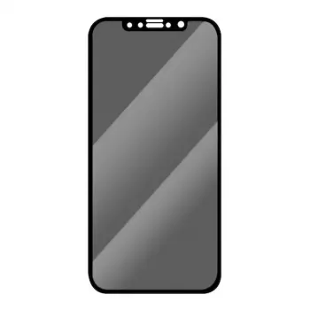 Apsauginis stiklas Woodcessories GLA013, skirtas iPhone Xs Max / 11 Pro Max