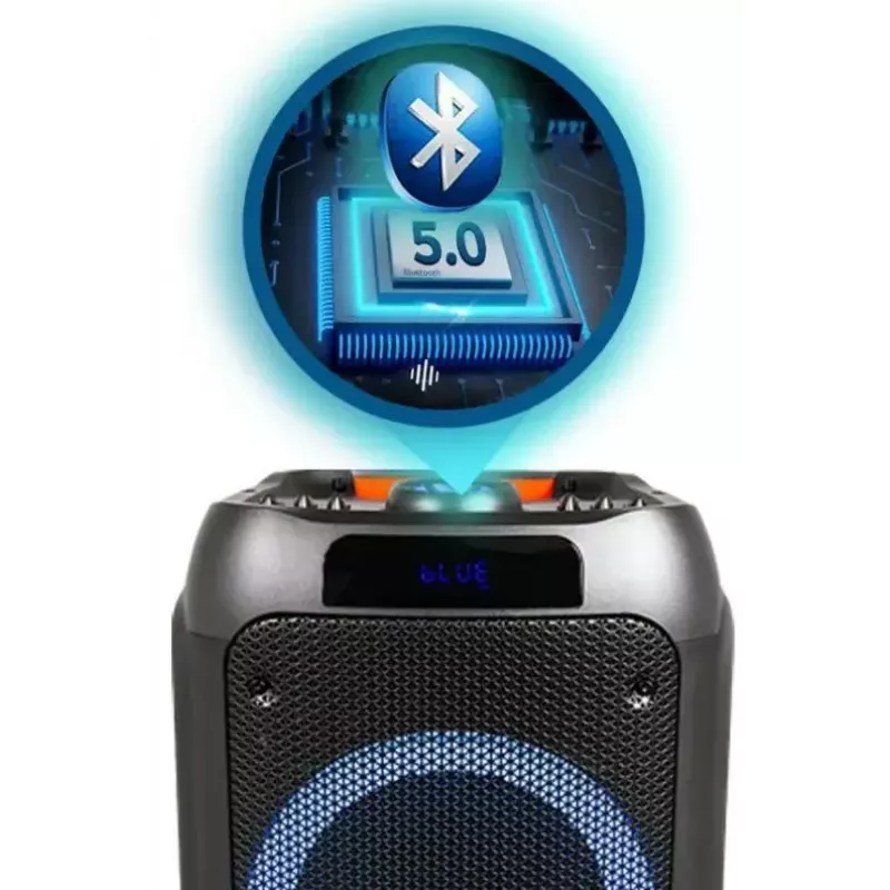 MANTA SPK5310 PRO nešiojamoji muzikos kolonėlė vakarėliams, 120 W RMS