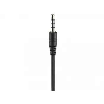 Ausinės Sandberg MiniJack Headset Bulk