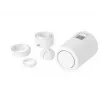 Termostatas Danfoss Eco