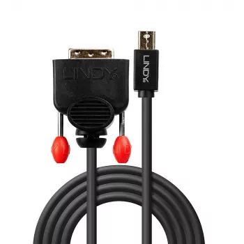 Lindy 1m Mini DisplayPort į DVI laidas, juodas