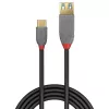Lindy 0.15 m USB 3.2 Type C į A adapterio kabelis, 10 Gbps, Anthra Line