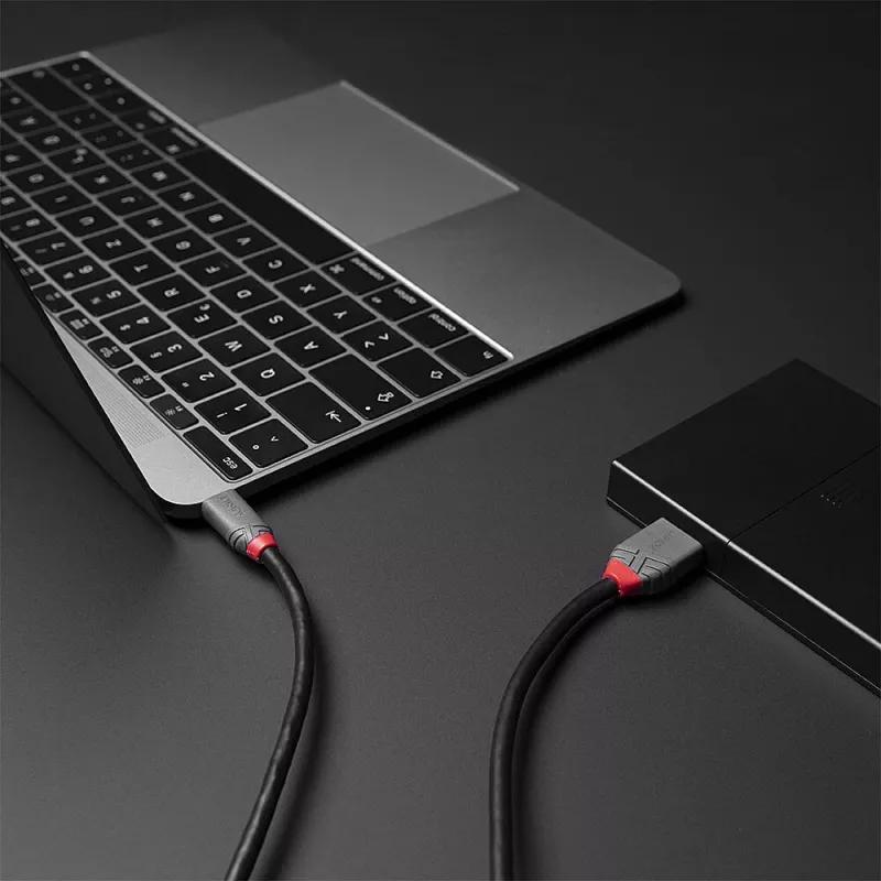 Lindy 3m USB 3.2 Type C į Micro-B laidas, Anthra Line, 3 m, USB C, Micro-USB B, USB 3.2 Gen 1 (3.1 Gen 1), juoda