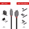 Lindy 3m USB 3.2 Type C į Micro-B laidas, Anthra Line, 3 m, USB C, Micro-USB B, USB 3.2 Gen 1 (3.1 Gen 1), juoda