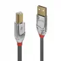 Lindy 1 m USB 2.0 A-B laidas, Cromo Line