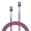 Lindy 20 m LC-LC OM4 50/125 šviesolaidinis jungiamasis laidas