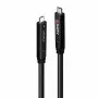 Lindy 10 m USB 3.2 Gen 2 ir DP 1.4 Type C hibridinis laidas