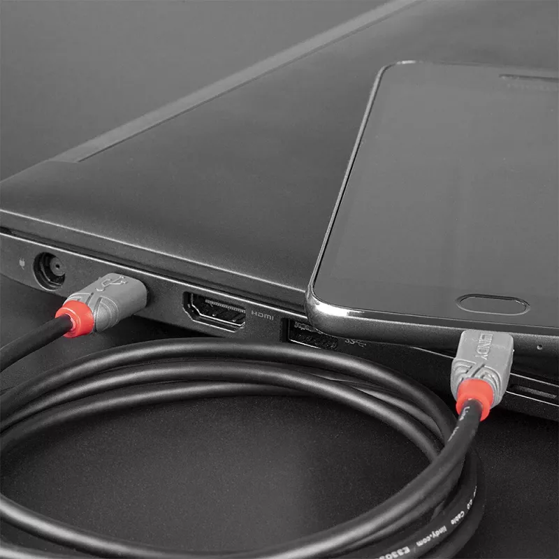 Lindy 3 m USB 2.0 Type C į Micro-B laidas, Anthra Line