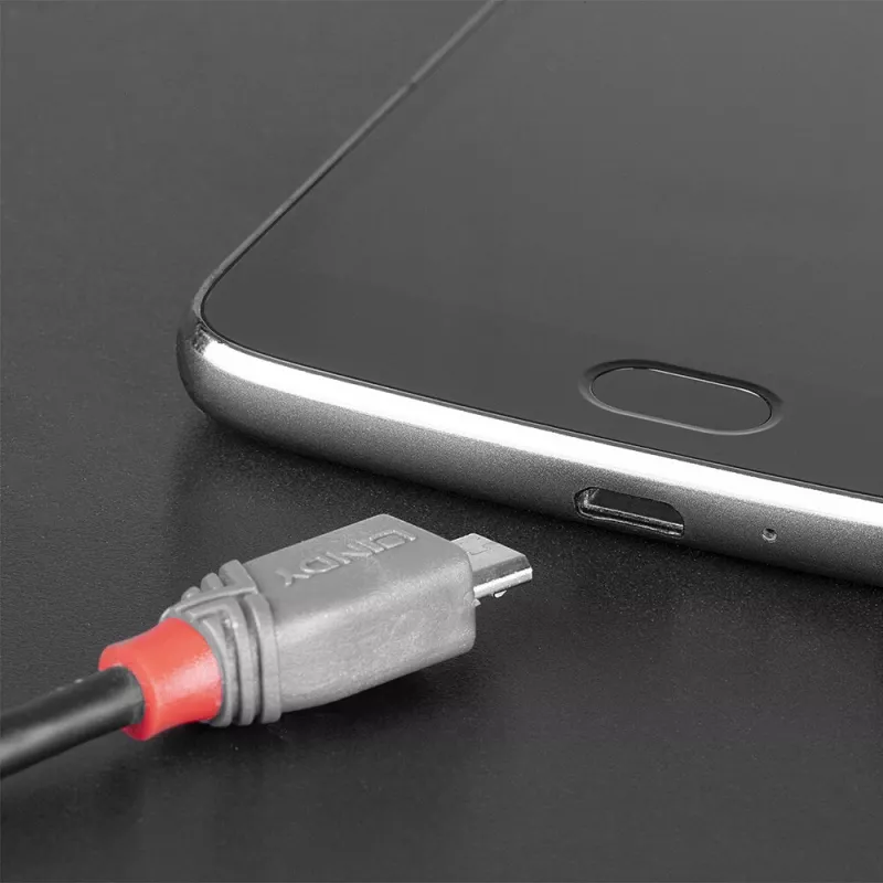 Lindy 3 m USB 2.0 Type C į Micro-B laidas, Anthra Line