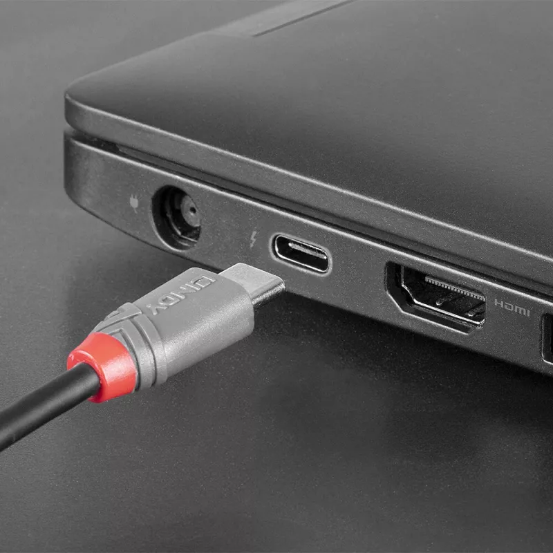 Lindy 3 m USB 2.0 Type C į Micro-B laidas, Anthra Line