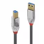 Lindy 1 m USB 3.2 A-B laidas, 5 Gbps, Cromo Line