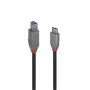 Lindy 0,5m USB 3.2 Type C į B laidas 5Gbps juodas