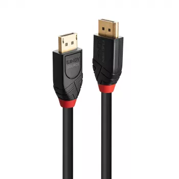 DisplayPort kabelis Lindy 10 m aktyvus DisplayPort 1.4