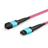Lanview LVO230402-MTP 2 m OM4 MTP-MTP šviesolaidinis kabelis violetinis