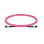 Lanview LVO230403-MTP InfiniBand / šviesolaidinis kabelis 3 m Violetinė
